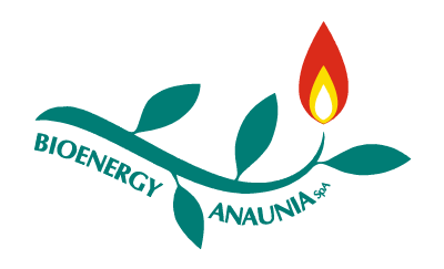 logo_bioenergyAnaunia